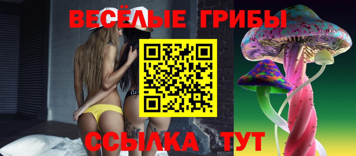 что такое   Галлюциногенные грибы Cubensis  Вход с VPN  Екатеринбург 